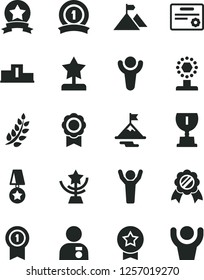 Solid Black Vector Icon Set - medal vector, winner, laurel branch, pedestal, award, cup, star, reward, man hands up, with, motivation, mountain flag, pennant, ribbon, certificate
