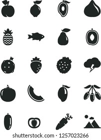 Solid Black Vector Icon Set - storm cloud vector, carrot, fish, strawberries, peach, quince, pear, raspberry, fig, slice of melon, mango, half, goji berry, delicious plum, date fruit, pineapple