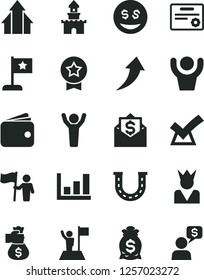 Solid Black Vector Icon Set - wallet vector, growth graph, man hands up, arrows, with flag, hold, star, medal, certificate, money bag hand, arrow, confirm, luck, king, dollar eyes, sand castle, mail