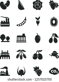 Solid Black Vector Icon Set - garden trolley vector, garlic, grape, branch of, squash, cornels, mulberry, tasty, goji berry, delicious plum, physalis, peas, beans, radish, factory, hydroelectricity