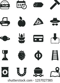 Solid Black Vector Icon Set - hat with glasses vector, stepladder, hammer, planet, move down, sausage, piece of pizza, burger, apple, mint, half medlar, tasty raspberry, oil, trolley coal, printer