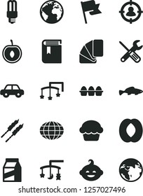 Solid Black Vector Icon Set - sign of the planet vector, book, toys over cradle, cot, motor vehicle, funny hairdo, small tools, sample colour, flag, package, bundle eggs, cake, barbecue, fish, globe