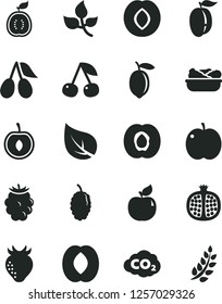 Solid Black Vector Icon Set - lettuce in a plate vector, cherry, apple, half apricot, pomegranate, plum, strawberry, cornels, blackberry, mulberry, peach, ripe, lemon, of guawa, leaves, leaf