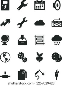 Solid Black Vector Icon Set - repair key vector, calendar, keyboard, clean paper, growth up, loudspeaker, cloud, dangers, heating coil, globe, put in a box, biscuit, beet, planet Earth, gears
