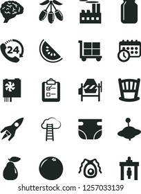 Solid Black Vector Icon Set - cargo trolley vector, cradle, nappy, yule, concrete mixer, survey, 24, pear, slice of water melon, goji berry, grapefruit, industrial building, jar, pc power supply