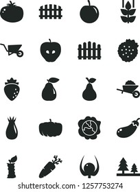 Solid Black Vector Icon Set - garden trolley vector, building, fence, hedge, tomato, carrot, strawberries, pear, mint, squash, tasty apple, raspberry, rose hip, plum, physalis, stub, eggplant