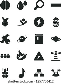 Solid Black Vector Icon Set - minus vector, book, flowchart, planet, bundle of eggs, mint, pineapple, hot pepper, beet, drop, lighthouse, magnifier, note, electricity, brain, satellite, saturn