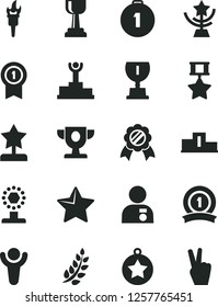 Solid Black Vector Icon Set - star vector, flame torch, winner, laurel branch, pedestal, podium, prize, award, cup, gold, reward, man with medal, first place, pennant, ribbon, hero, victory hand