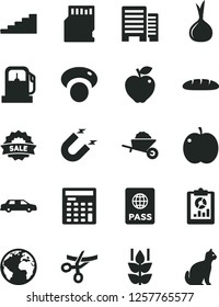 Solid Black Vector Icon Set - sign of the planet vector, garden trolley, buildings, passport, loaf, mint, apple, red, onion, mashroom, gas station, magnet, statistical overview, engineer calculator