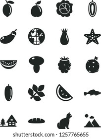 Solid Black Vector Icon Set - loaf vector, mushroom, small fish, orange slice, squash, rose hip, blackberry, water melon, date fruit, sweet, lemon, guava, eggplant, planet, biology, flag on moon