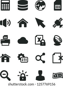 Solid Black Vector Icon Set - house vector, zoom out, volume, delete page, planet, SIM card, connections, woman, encrypting, printer, big data, settings, cursor, cloud, satellite, calculator, dollar