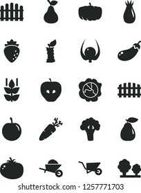 Solid Black Vector Icon Set - garden trolley vector, building, fence, hedge, tomato, carrot, pear, mint, squash, tasty apple, raspberry, rose hip, plum, physalis, stub, broccoli, eggplant, pumpkin