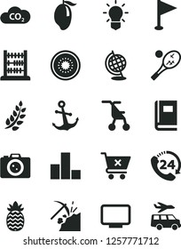 Solid Black Vector Icon Set - pennant vector, bar chart, sitting stroller, abacus, anchor, crossed cart, 24, mango, half of kiwi, pineapple, coal mining, CO2, monitor, bulb, book, globe, camera