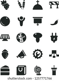 Solid Black Vector Icon Set - horn vector, gear, traffic signal, bag with handles, fried vegetables on sticks, mushroom, piece of cake, orange, grape, raspberry, red pepper, plug, planet, globe