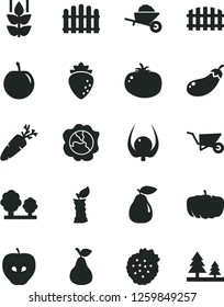 Solid Black Vector Icon Set - garden trolley vector, building, fence, hedge, tomato, carrot, strawberries, pear, mint, squash, tasty apple, raspberry, plum, physalis, stub, eggplant, pumpkin, trees