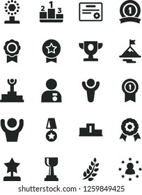 Solid Black Vector Icon Set - pedestal vector, medal, winner, laurel branch, podium, prize, cup, gold, star reward, man with, motivation, pennant, ribbon, certificate, hands up, stars around