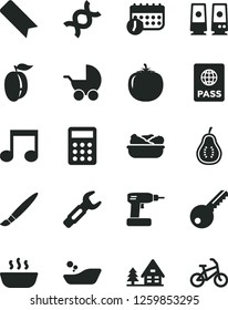 Solid Black Vector Icon Set - tassel vector, bookmark, baby stroller, children's bathroom, cordless drill, key, passport, hot porridge, lettuce in a plate, ripe plum, part of guava, persimmon, note