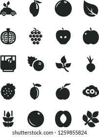 Solid Black Vector Icon Set - beet vector, a glass of tea, blueberries, strawberries, orange, mint, ripe peach, apple, half pomegranate, large grape, tasty, mango, lemon, grapefruit, leaves, leaf