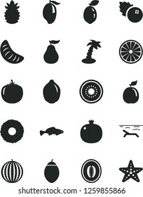 Solid Black Vector Icon Set - small fish vector, blueberries, pomegranate, water melon, mango, half, slice of tangerine, lime, kiwi, tamarillo, sour, orange, guava, ripe pineapple, persimmon, beach