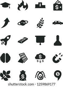 Solid Black Vector Icon Set - brain vector, bactery, magnet, flame, sun panel, saturn, biology, presentation board, laurel branch, pedestal, pawn, graduate, gold bar, arrow up, money rain, bag