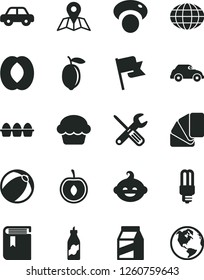Solid Black Vector Icon Set - book vector, baby bath ball, motor vehicle, funny hairdo, small tools, sample of colour, map, flag, package, bundle eggs, cake, liquor, half peach, cherry, lemon, globe