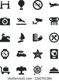 Solid Black Vector Icon Set - plane vector, car baggage, air balloon, rope barrier, passport, arrival, hotel, disco ball, cafe, restaurant, starfish, surfing, camera, surveillance, no smoking sign