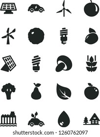 Solid Black Vector Icon Set - saving light bulb vector, drop, porcini, cabbage, pear, mint, tangerine, yellow lemon, delicious apple, broccoli, leaf, windmill, wind energy, hydroelectricity