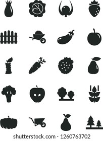 Solid Black Vector Icon Set - garden trolley vector, building, hedge, carrot, strawberries, pear, mint, squash, tasty apple, raspberry, rose hip, plum, physalis, stub, broccoli, eggplant, pumpkin