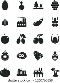 Solid Black Vector Icon Set - tomato vector, beet, a pineapple, mint, branch of grape, large, cornels, tasty, half loquat, plum, ripe, physalis, garlic, eggplant, hydroelectric station, forest