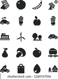 Solid Black Vector Icon Set - saving light bulb vector, drop, porcini, cabbage, apple, pear, delicious, peas, big solar panel, windmill, hydroelectric station, trees, energy, eco car, electric, bag