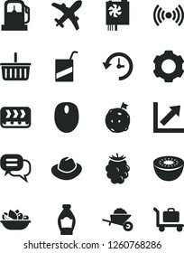 Solid Black Vector Icon Set - grocery basket vector, hat, growth chart, e, garden trolley, a plate of fruit, bottle, blackberry, kiwi, gas station, conveyor, mouse, pc power supply, wireless, dialog