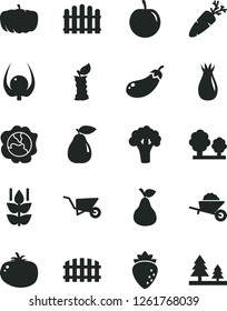 Solid Black Vector Icon Set - garden trolley vector, building, fence, hedge, tomato, carrot, pear, mint, squash, raspberry, rose hip, tasty plum, physalis, apple stub, broccoli, eggplant, pumpkin