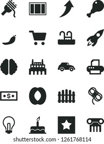 Solid Black Vector Icon Set - incandescent lamp vector, cake, window frame, hawser, hedge, spaghetti, chicken leg, half peach, red pepper, industrial factory, retro car, shopping cart, rocket, brain