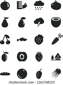 Solid Black Vector Icon Set - rainy cloud vector, storm, loaf, tomato, small fish, strawberries, orange, cherry, half apricot, pear, tasty raspberry, mulberry, tangerine, lemon, of coconut, carrot