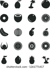 Solid Black Vector Icon Set - blueberries vector, orange, water melon, loquat, half, slice of tangerine, lime, kiwi, passion fruit, sour, guawa, coconut, ripe pineapple, grapefruit, guava, physalis