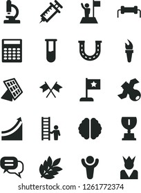 Solid Black Vector Icon Set - test tube vector, microscope, brain, satellite, calculator, sun panel, biology, syringe, resistor, flame torch, winner, award, growth graph, man with flag, star, ladder