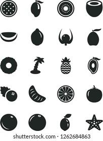 Solid Black Vector Icon Set - blueberries vector, orange, mango, half of, loquat, slice tangerine, lime, kiwi, passion fruit, sour, piece coconut, pineapple, grapefruit, physalis, persimmon