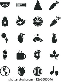 Solid Black Vector Icon Set - stacking toy vector, building level, carrot, cup of tea, strawberry, rose hip, water melon, mango, half, slice, lemon, hot pepper, leaves, planet Earth, electric car