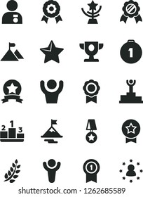 Solid Black Vector Icon Set - star vector, pedestal, medal, winner, laurel branch, podium, prize, cup, man with, motivation, mountain flag, first place, pennant, ribbon, hands up, stars around