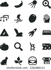 Solid Black Vector Icon Set - magnifier vector, zoom, toys over the cot, car child seat, a chair for feeding, brick, artificial satellite, piece of cheese, big burger, tomato, fried potato slices