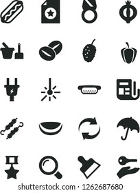 Solid Black Vector Icon Set - renewal vector, toy sand set, putty knife, magnifier, umbrella, Hot Dog, mini, meat on skewers, coffee beans, half of medlar, tasty mulberry, piece coconut, ripe pepper