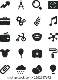 Solid Black Vector Icon Set - paint roller vector, growth up, t short, rainy cloud, medical bag, balloon, child bicycle, suitcase, magnifier, music, clip, eggs, kiwi, Measuring compasses, gears, air