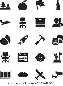 Solid Black Vector Icon Set - calendar vector, women, storage unit, children's hairdo, window frame, hammer with claw, flag, coins, eggs, pie, ripe peach, forest, Glass bottle, space rocket, chair