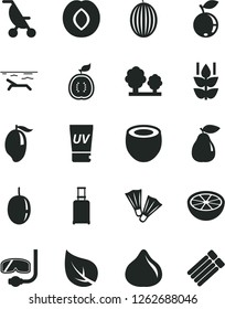 Solid Black Vector Icon Set - summer stroller vector, mint, pear, plum, fig, blueberry, melon, mango, passion fruit, half of guawa, coconut, grapefruit, leaf, trees, rolling suitcase, beach