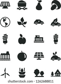 Solid Black Vector Icon Set - saving light bulb vector, porcini, apple, pear, mint, tangerine, solar panel, leaves, windmill, planet Earth, hydroelectric station, hydroelectricity, trees, energy