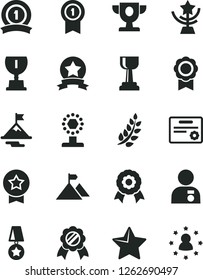 Solid Black Vector Icon Set - star vector, medal, laurel branch, prize, award, cup, gold, man with, motivation, mountain flag, pennant, ribbon, certificate, stars around