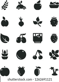 Solid Black Vector Icon Set - lettuce in a plate vector, beet, glass of tea, apple, orange, mint, cherry, apricot, strawberry, blackberry, tasty raspberry, cornels, lemon, leaves, leaf, biology