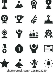 Solid Black Vector Icon Set - star vector, pedestal, medal, winner, laurel branch, podium, prize, award, cup, gold, motivation, mountain flag, first place, certificate, hands up man, stars around
