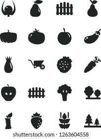 Solid Black Vector Icon Set - building trolley vector, fence, hedge, tomato, carrot, strawberries, pear, mint, tasty apple, raspberry, rose hip, plum, physalis, stub, broccoli, eggplant, pumpkin