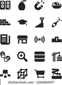Solid Black Vector Icon Set - zoom vector, child shoes, tower crane, brick wall, a plate of fruit, loquat, stall, cart, hierarchical scheme, newspaper, pc speaker, wireless, big data, magnet